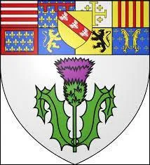 Ce blason appartient une ville de Lorraine, très connue notamment pour sa célèbre place inscrite au patrimoine mondiale de l'UNESCO. On la connaît aussi pour ses macarons ou ses bergamotes. Vous avez reconnu la ville de ...