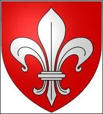 Je vous présente le blason d'une ville du Nord, dont le maire est Martine Aubry. Connue pour sa grande braderie, cette ville est ...