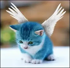 Quel est ce cosplay ?