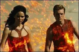 Qui est Peeta pour Katniss à la fin du troisième tome ?
