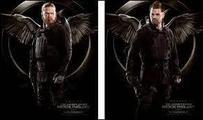 Qui est Castor pour Pollux ?