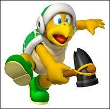 Qui est cette tortue ?