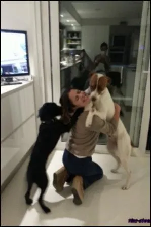 Combien a-t-elle de chien(s) ?