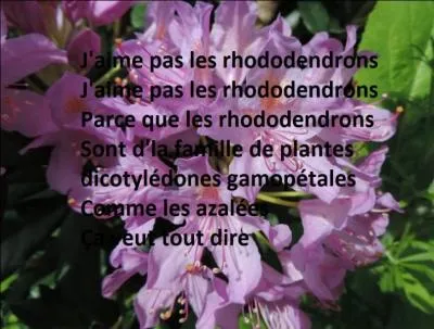 Qui chantait en 1971 ?