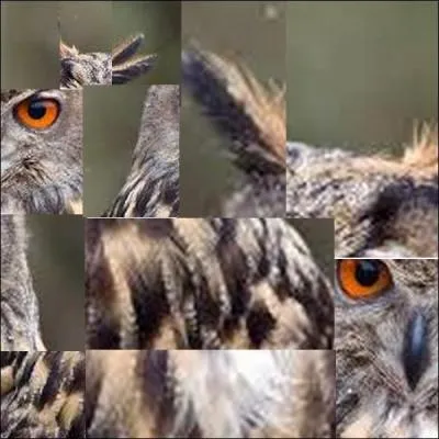 Que voyez vous sur cette image ?