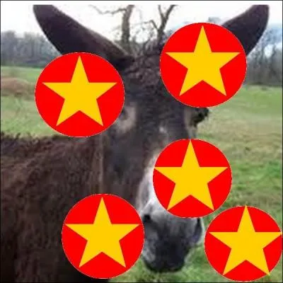 Quel est cet animal ?