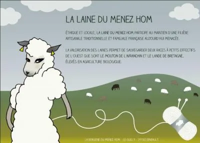 Novembre est un mauvais mois pour... !