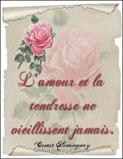 Brouillard en novembre, l'hiver sera... !