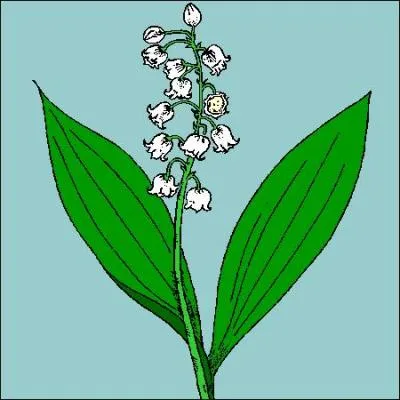 Été de la Saint-Martin dure trois jours et... !