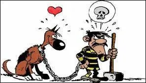 De quoi peut bien rêver Joe ?