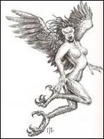 Elles ont un corps d'oiseau ailé et une tête de femme. Qui sont-elles ?