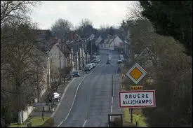 Nous entrons dans la commune centriste de Bru&egrave;re-Allichamps. Commune centriste, elle se situe dans le d&eacute;partement ...