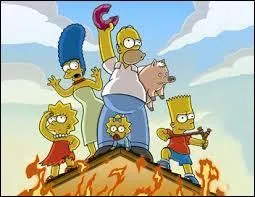 Que peut-on trouver dans la ville de Springfield, en Nouvelle-Zélande ?