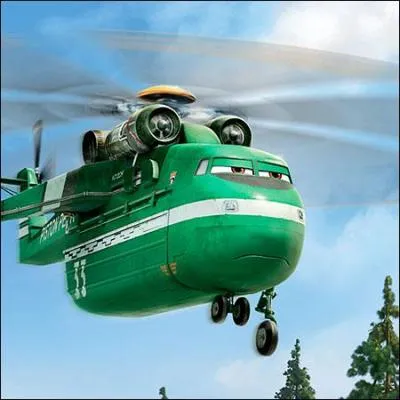 Qui est cet avion qui lance des flammes pour éteindre le feu ?