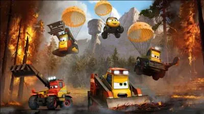 Qui sont tous ces pompiers faits pour sauver les tracteurs et enlever le bois ?