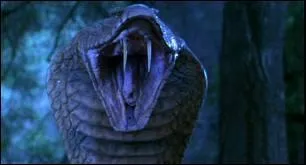 Comment s'intitule ce film de troisième zone, sorti en 1999, mettant en scène un cobra géant semant la terreur dans une bourgade américaine ?