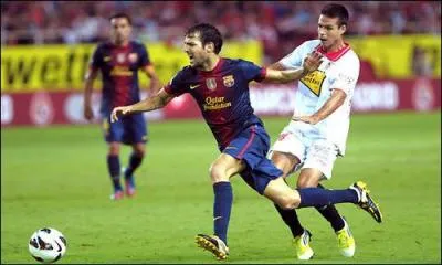 Quel est le sport sur la photo ?