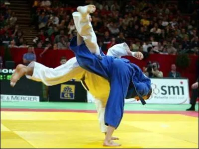 Quel est le sport sur la photo ?