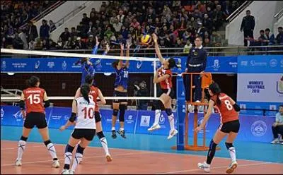 Quel est le sport sur la photo ?