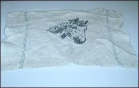 À quoi sert cet objet de pansage ?