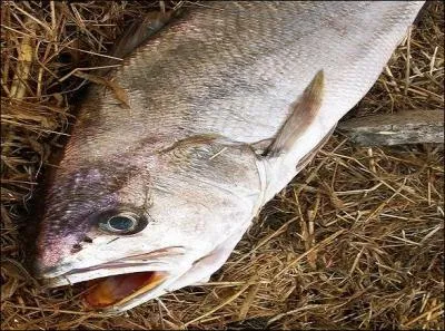 Quelle correspondance de sens devez-vous faire entre l'illustration et les propositions ?