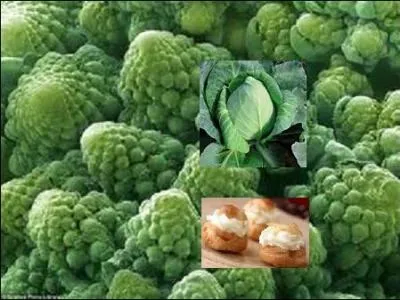 Quelle proposition faut-il choisir qui correspond à ce quiz, et que vous avez le droit de penser très fort ?