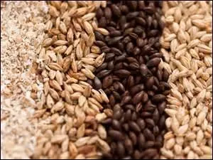 Quelle proposition faut-il choisir ?