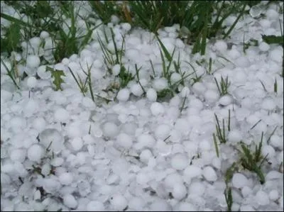 Quelle correspondance de sens devez-vous faire entre l'illustration et les propositions ?