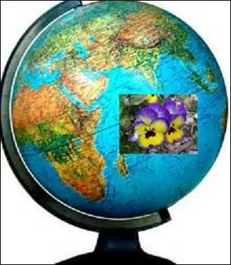 Quelle correspondance de sens devez-vous faire entre l'illustration et les propositions ?