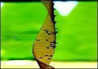 Trouvez le rapport entre une proposition et l'illustration.