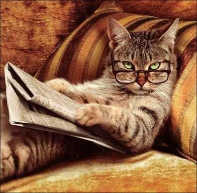 Les chats lisent-ils ?