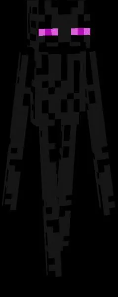 Qui est cette créature maigre et noire qui peut se téléporter avec des blocs ?