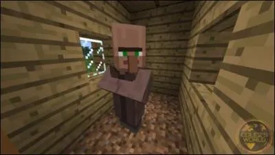 Comment appelle-t-on cet homme qui vit dans des maisons de villageois ?