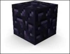 Comment s'appelle ce bloc qui ne peut pas être détruit ?