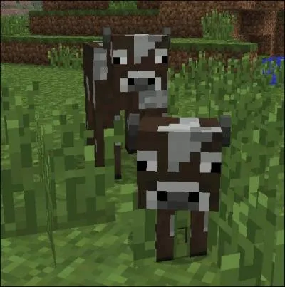 Comment appelle-t-on ces créatures marron et blanches ?