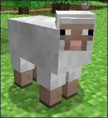 Comment appelle-t-on cette créature blanche ?