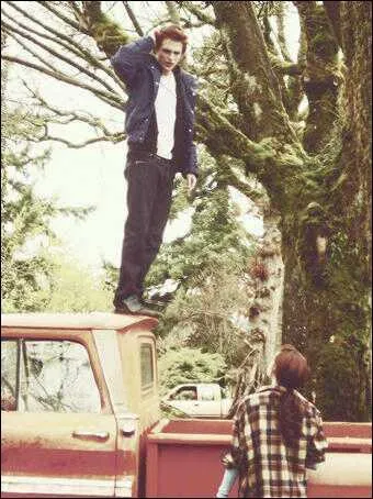 Dans quel Twilight la partie de baseball se passe-t-elle ?