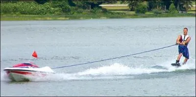 "Le cheval qu'au soir on détache du palonnier en lui frappant sur la croupe". Que veut dire "palonnier" ?