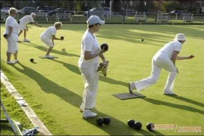"Enfin l'il se repose sur des boulingrins tantôt unis et simples, tantôt contrastés". Quelle est la signification de "boulingrin" ?
