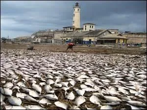 Où trouverez-vous l'essentiel des résidences ?