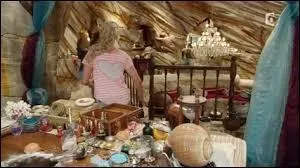 Quel livre permet d'ouvrir le portail du bassin lunaire ?