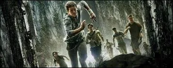 Où se trouvent-ils lorsqu'ils sortent ?