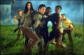 Où le mettent-ils ?