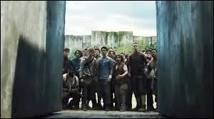 Avec qui Thomas est-il la première fois qu'il est dans le labyrinthe ?