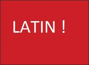 Et enfin, comment dit-on "jaune" en latin ?