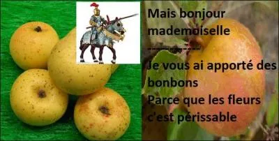 Quel point commun ces pommes ont-elles ?