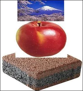 Une belle pomme à la chair ferme, dense, de douce saveur, juteuse et à l'odeur de miel.
Quelle pâtisserie allez-vous faire ?