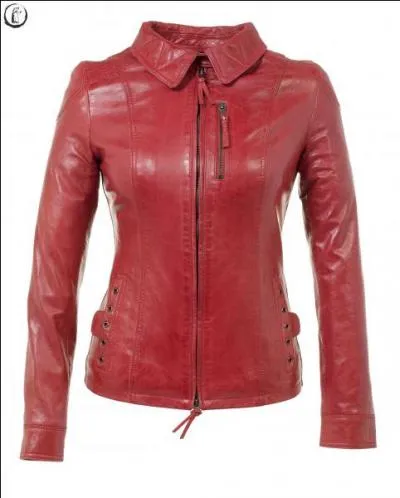 Je râcle les fonds de poche ! Voulez-vous m'acheter ma veste en cuir, si oui faites-moi un chèque de 80  :