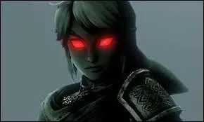 Les "Dark Link" popent et repopent à l'infini (jusqu'à un certain moment sinon le jeu n'aurai jamais de fin) Vrai ou Faux ?