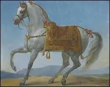 C'est le pur-sang de Napoléon, quel nom portait-il ?